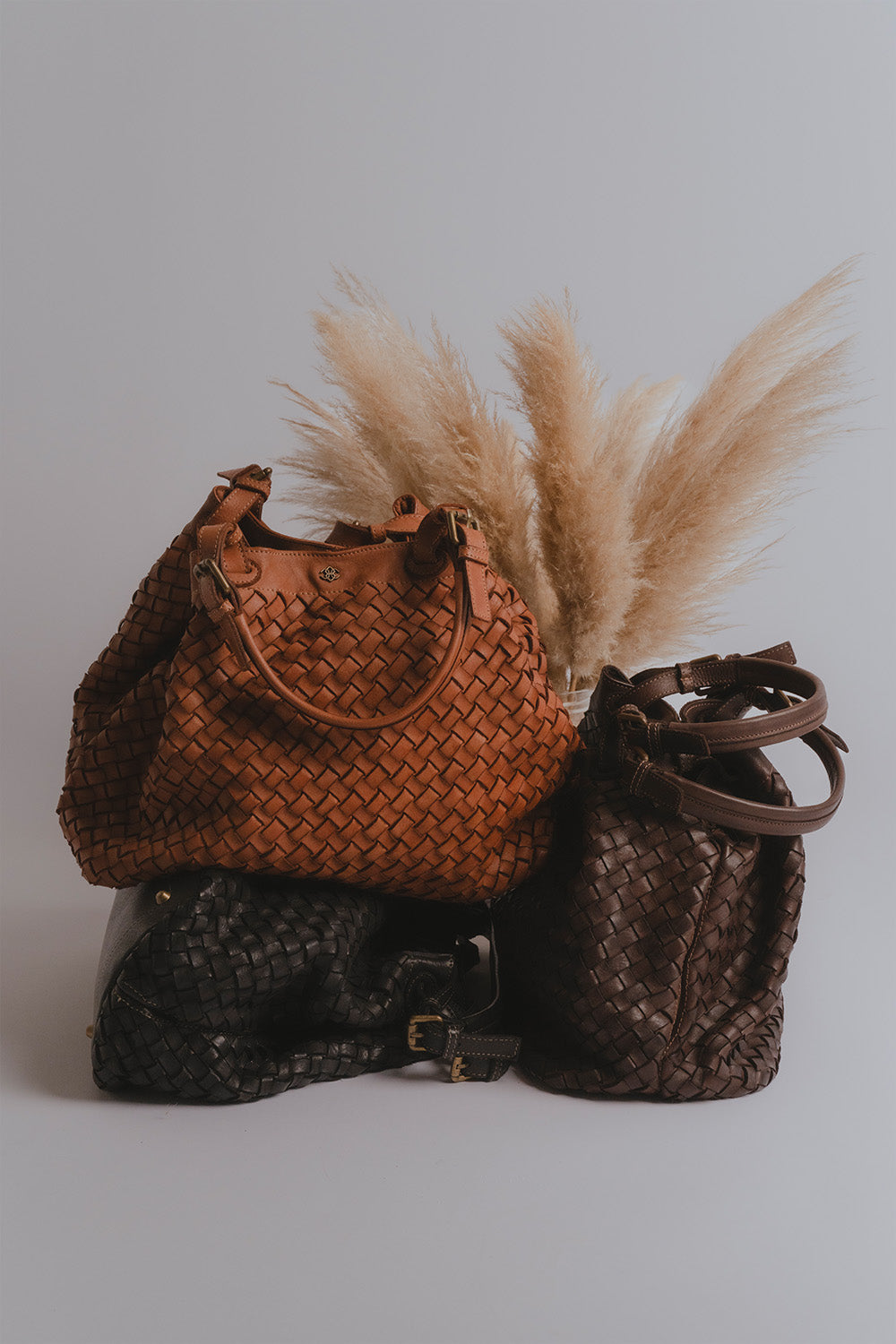 Siena Dark Brown donna Barone firenze - 10